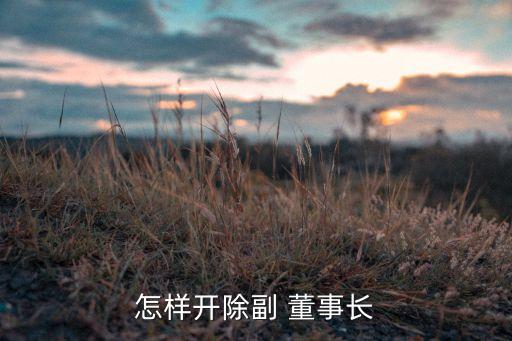 怎樣開除副 董事長(zhǎng)