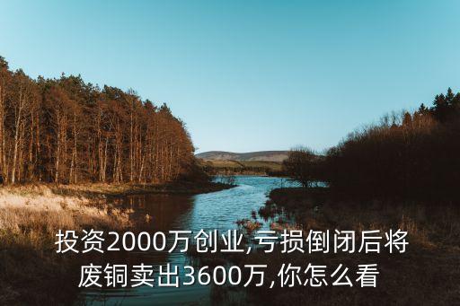  投資2000萬創(chuàng)業(yè),虧損倒閉后將廢銅賣出3600萬,你怎么看