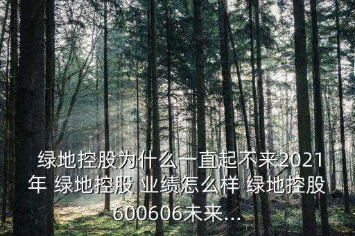  綠地控股為什么一直起不來2021年 綠地控股 業(yè)績(jī)?cè)趺礃?綠地控股600606未來...