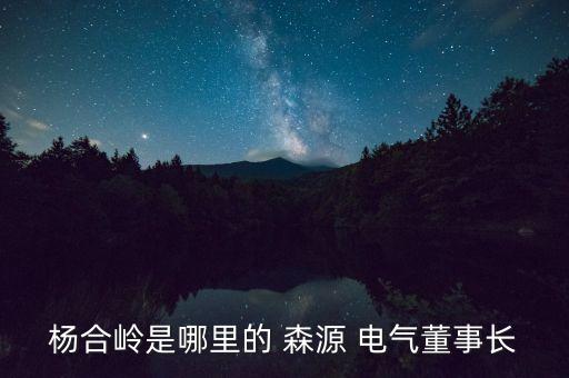 湖南森源電氣有限公司,平頂山森源電氣有限公司