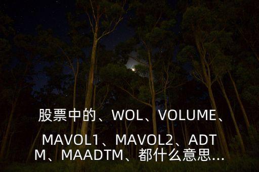  股票中的、WOL、VOLUME、MAVOL1、MAVOL2、ADTM、MAADTM、都什么意思...