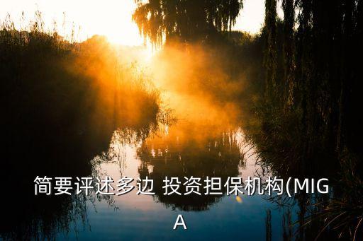 簡(jiǎn)要評(píng)述多邊 投資擔(dān)保機(jī)構(gòu)(MIGA