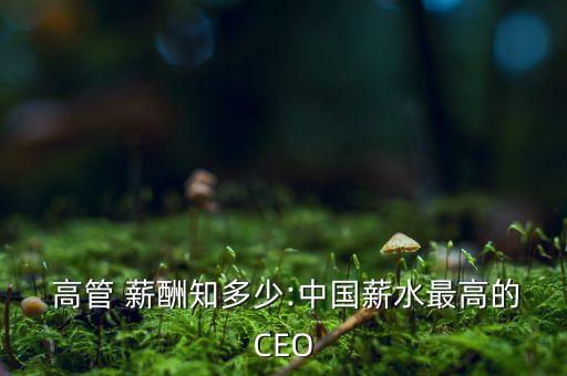  高管 薪酬知多少:中國(guó)薪水最高的CEO