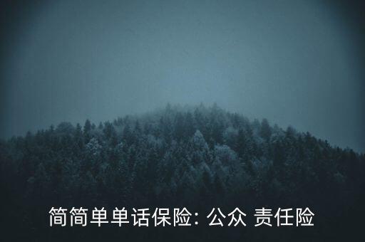 簡簡單單話保險(xiǎn): 公眾 責(zé)任險(xiǎn)