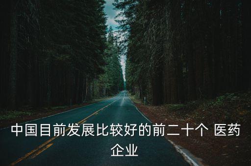 中國目前發(fā)展比較好的前二十個 醫(yī)藥企業(yè)