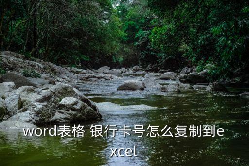 word表格 銀行卡號怎么復(fù)制到excel