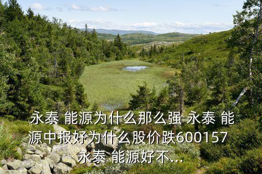  永泰 能源為什么那么強(qiáng) 永泰 能源中報好為什么股價跌600157 永泰 能源好不...