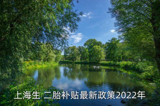 上海生 二胎補(bǔ)貼最新政策2022年