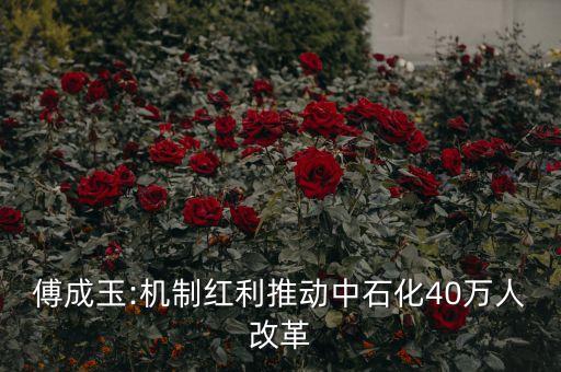 傅成玉:機(jī)制紅利推動(dòng)中石化40萬(wàn)人改革