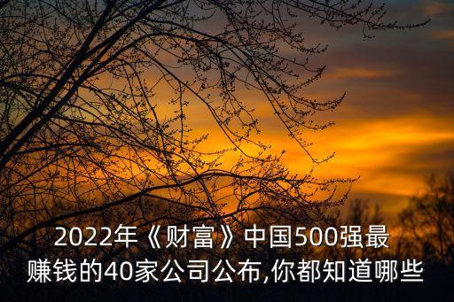 2022年《財(cái)富》中國(guó)500強(qiáng)最 賺錢(qián)的40家公司公布,你都知道哪些