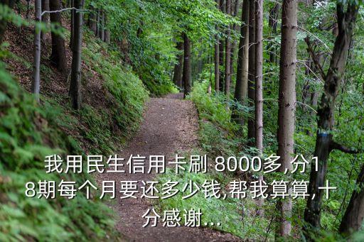 民生銀行預(yù)借現(xiàn)金8000