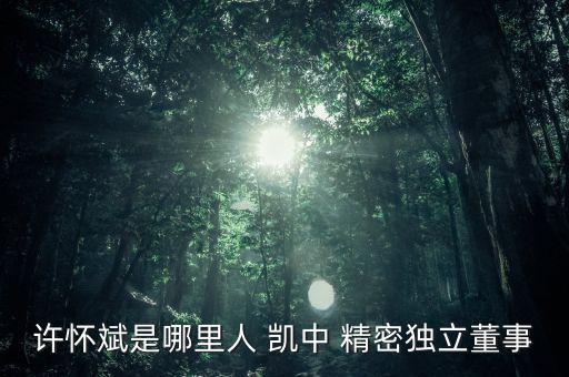 深圳市凱中精密技術(shù)有限公司