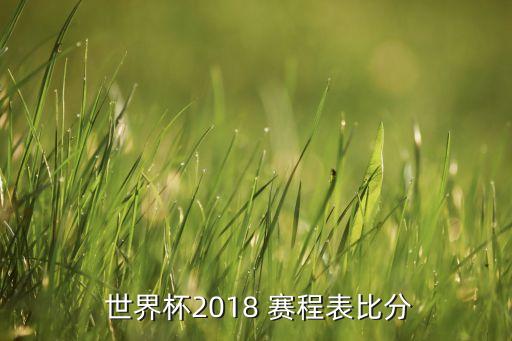 2018世界杯中國足球隊賽程,中國足球隊2022世界杯預(yù)選賽程