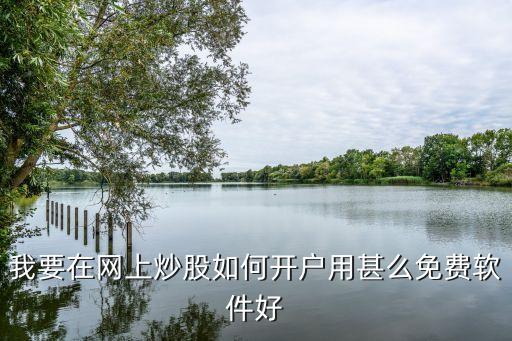 我要在網(wǎng)上炒股如何開戶用甚么免費(fèi)軟件好