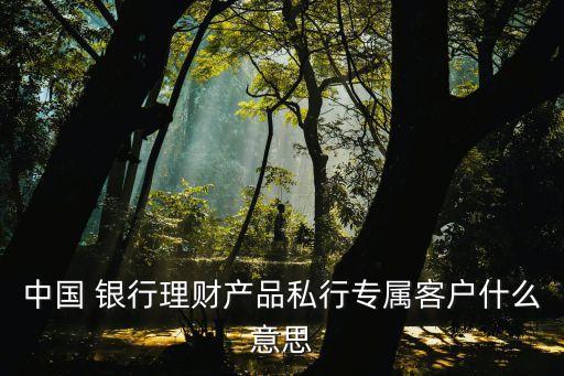 中國 銀行理財產(chǎn)品私行專屬客戶什么意思