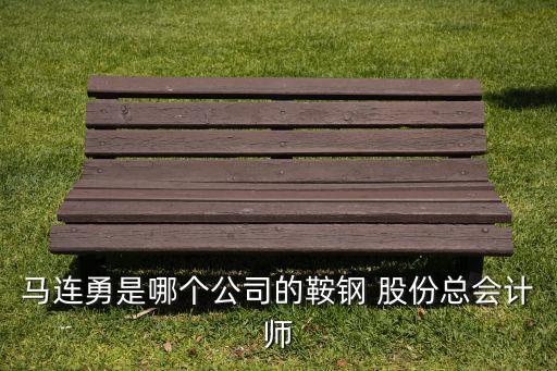 馬連勇是哪個(gè)公司的鞍鋼 股份總會(huì)計(jì)師