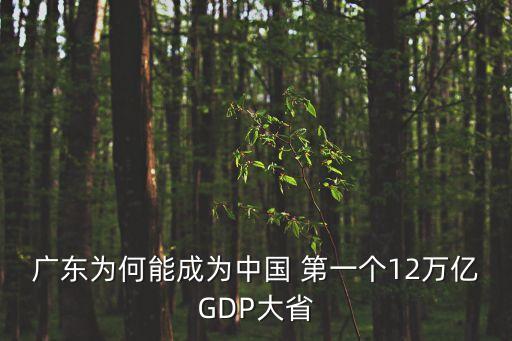 廣東為何能成為中國(guó) 第一個(gè)12萬(wàn)億GDP大省