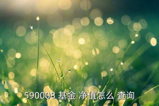 590008 基金 凈值怎么 查詢