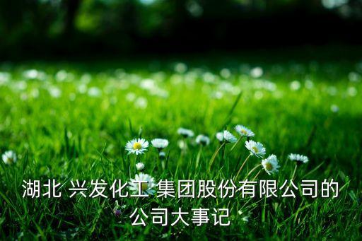 湖北 興發(fā)化工 集團股份有限公司的公司大事記