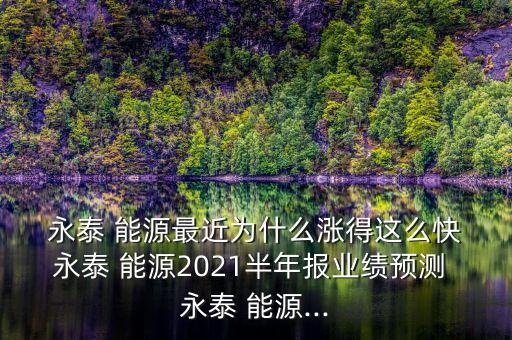  永泰 能源最近為什么漲得這么快 永泰 能源2021半年報業(yè)績預(yù)測 永泰 能源...