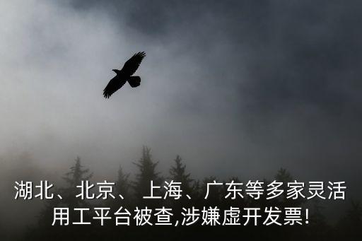 湖北、北京、 上海、廣東等多家靈活用工平臺被查,涉嫌虛開發(fā)票!