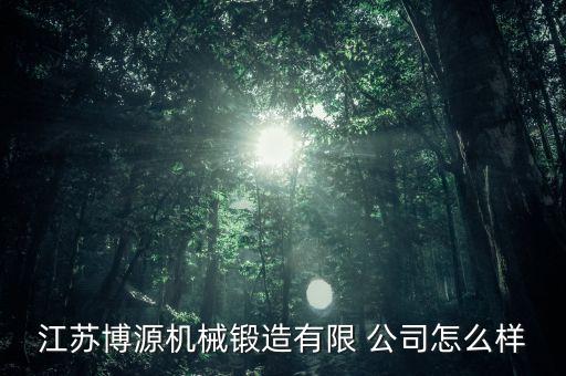 江蘇博源機械鍛造有限 公司怎么樣