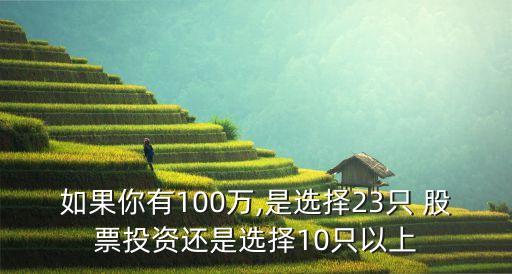 如果你有100萬,是選擇23只 股票投資還是選擇10只以上