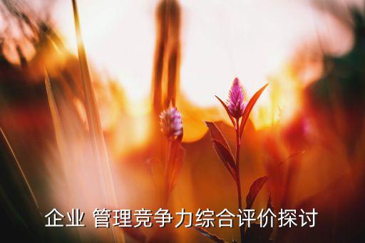 企業(yè) 管理競(jìng)爭(zhēng)力綜合評(píng)價(jià)探討