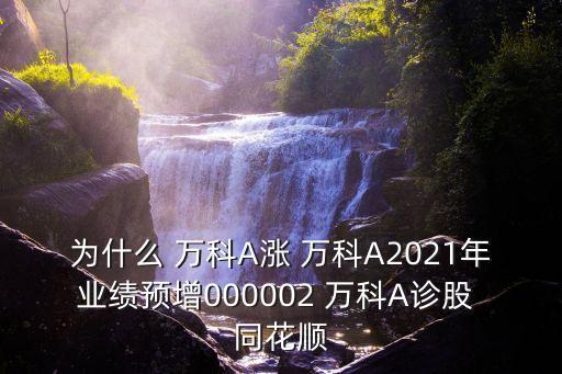 為什么 萬科A漲 萬科A2021年業(yè)績預(yù)增000002 萬科A診股 同花順