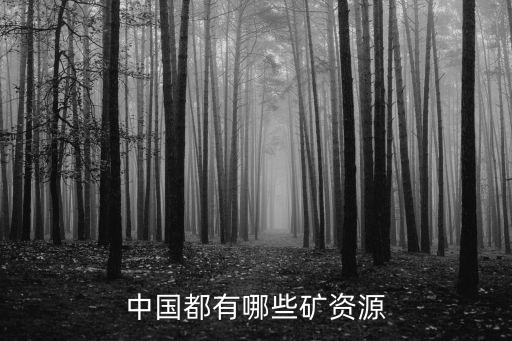 中國進(jìn)口鐵礦石的價格,澳大利亞進(jìn)口鐵礦石價格