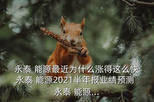  永泰 能源最近為什么漲得這么快 永泰 能源2021半年報(bào)業(yè)績預(yù)測 永泰 能源...