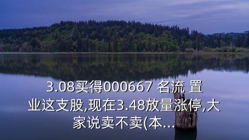 3.08買(mǎi)得000667 名流 置業(yè)這支股,現(xiàn)在3.48放量漲停,大家說(shuō)賣(mài)不賣(mài)(本...