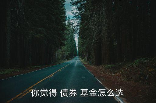 你覺得 債券 基金怎么選