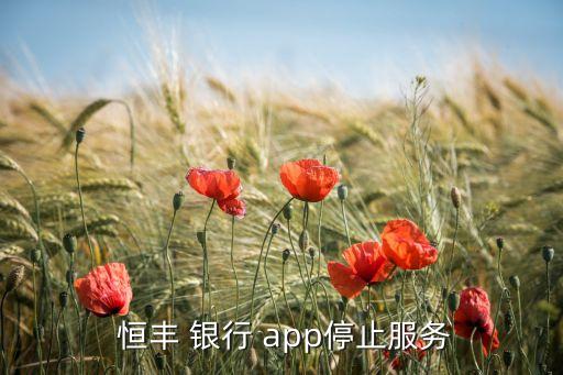  恒豐 銀行 app停止服務(wù)