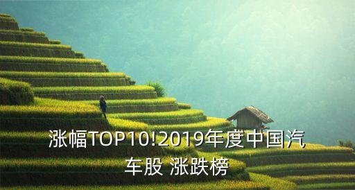 漲幅TOP10!2019年度中國汽車股 漲跌榜