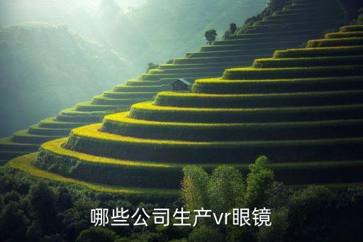 哪些公司生產(chǎn)vr眼鏡