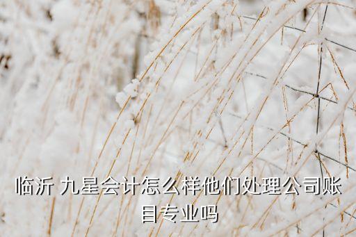 臨沂 九星會(huì)計(jì)怎么樣他們處理公司賬目專(zhuān)業(yè)嗎