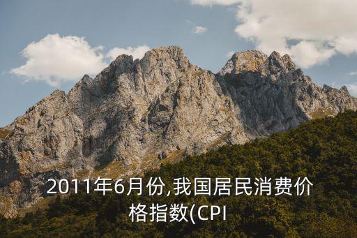 中國2011年cpi,地理中國2011年