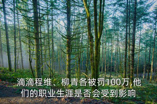  滴滴程維、柳青各被罰100萬,他們的職業(yè)生涯是否會受到影響