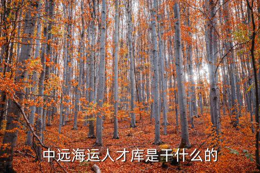 中遠(yuǎn)海運(yùn)人才庫(kù)是干什么的