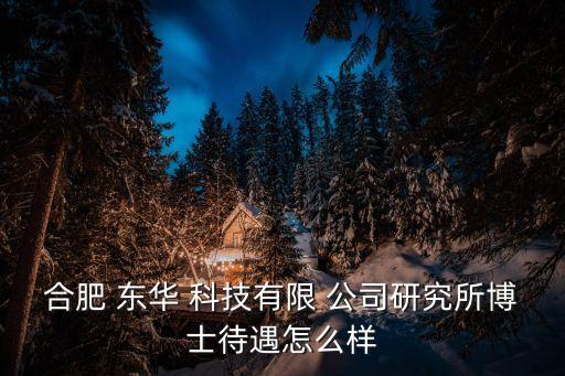 合肥 東華 科技有限 公司研究所博士待遇怎么樣