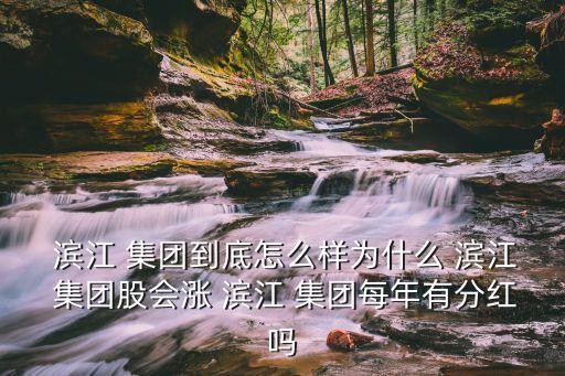  濱江 集團到底怎么樣為什么 濱江 集團股會漲 濱江 集團每年有分紅嗎