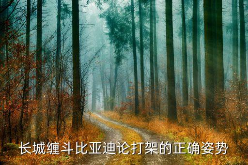 長(zhǎng)城纏斗比亞迪論打架的正確姿勢(shì)