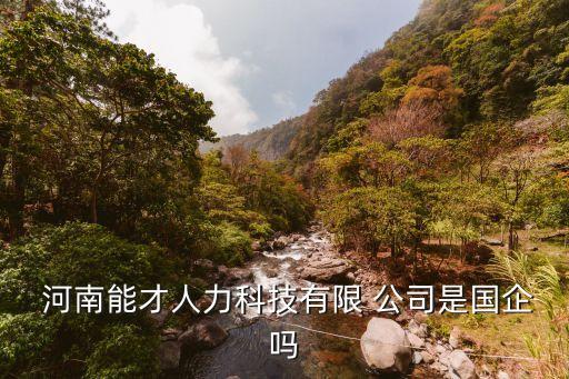  河南能才人力科技有限 公司是國(guó)企嗎