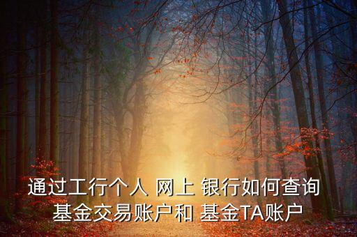 通過工行個人 網(wǎng)上 銀行如何查詢 基金交易賬戶和 基金TA賬戶