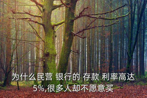 為什么民營 銀行的 存款 利率高達5%,很多人卻不愿意買