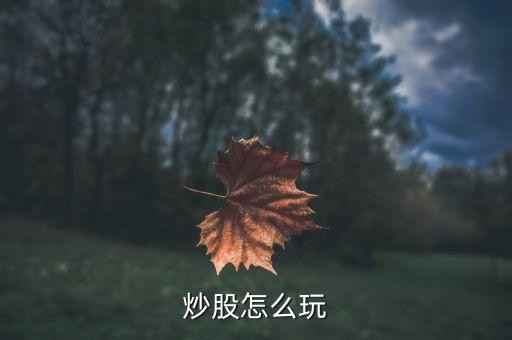 炒股怎么玩