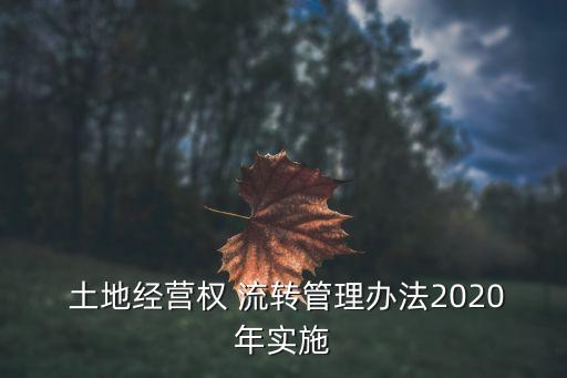  土地經(jīng)營(yíng)權(quán) 流轉(zhuǎn)管理辦法2020年實(shí)施