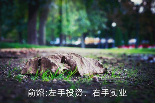 俞熔:左手投資、右手實業(yè)