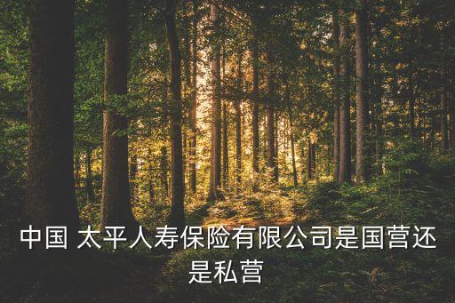 中國 太平人壽保險有限公司是國營還是私營